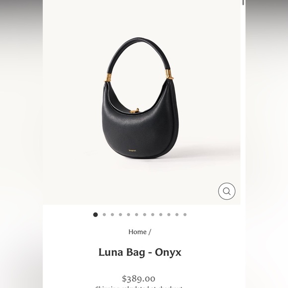 Songmont Handbags - Songmont Luna bag onyx black